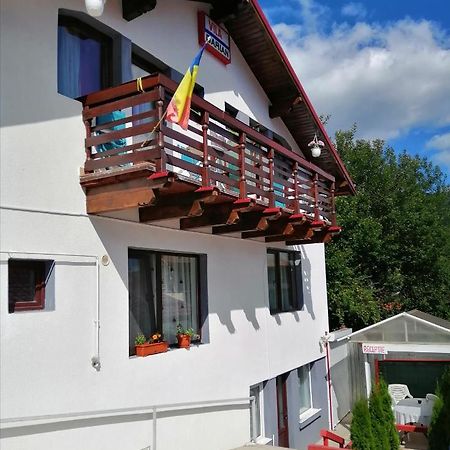 Vila Darian Villa Buşteni Eksteriør bilde