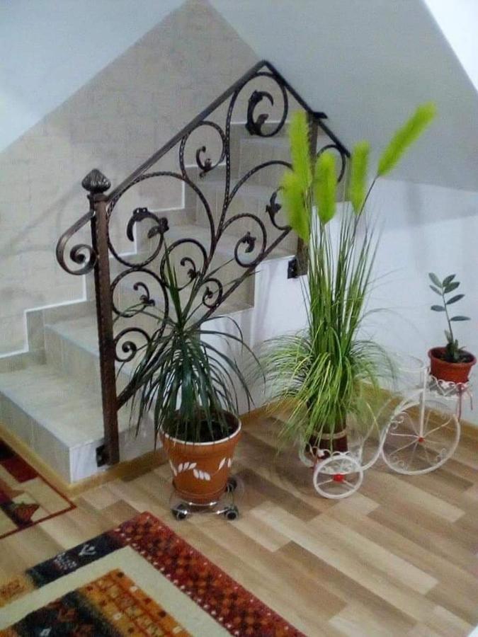 Vila Darian Villa Buşteni Eksteriør bilde