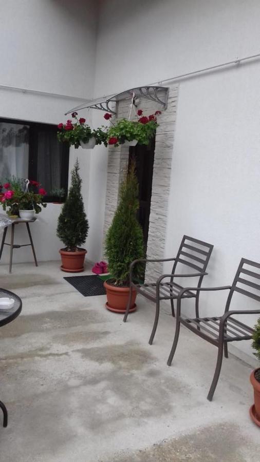 Vila Darian Villa Buşteni Eksteriør bilde